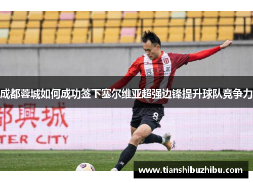 成都蓉城如何成功签下塞尔维亚超强边锋提升球队竞争力