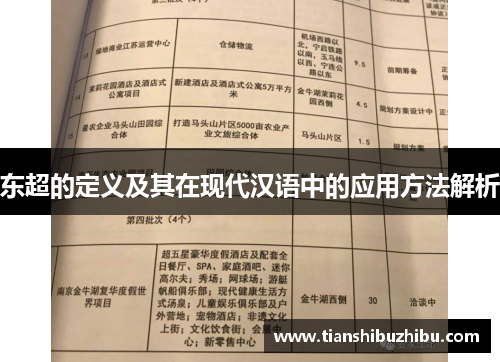 东超的定义及其在现代汉语中的应用方法解析